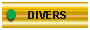 DIVERS