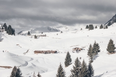 Col de Joux Plane (2 janvier 2019)