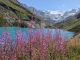 Lac de Moiry (22 août 2024)