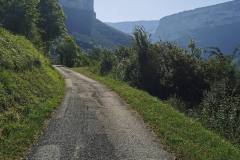 Sentier à découvert sur voie goudronnée (7 août 2024)