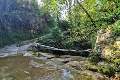 Charmante cascade et petite passerelle à emprunter pour la traverser (7 août 2024)