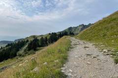 Sentier menant au lac de Roy (23 juillet 2023)