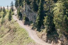 Sentier menant aux Portes du Soleil (21 mai 2020)