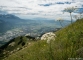 Fleurs de montagne (29 juillet 2017)