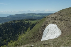 Névé tardif sur le sommet (31 mai 2019)