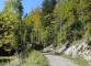 Départ dans la forêt