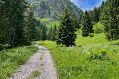 Sentier menant aux Serranants (6 juin 2022)