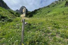 Suivre la direction du Col de Damoz des Moulins (6 juin 2022)