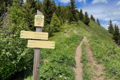 Arrivée au Col de Damoz des Moulins (6 juin 2022)