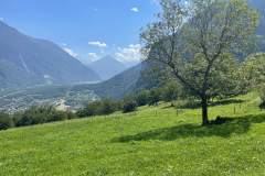 Vue sur la vallée du Rhône (28 juillet 2024)