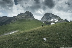 Pointe des Arbennes et Tête de la Forclaz (21 juillet 2019)