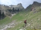 Sentier à la montée (6 mai 2007)