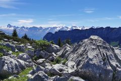 Lapiaz en haut du col de l'Ovine (26 juin 2021)