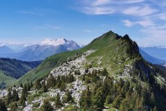 Vue sur la Tournette et la pointe de la Québlette (26 juin 2021)