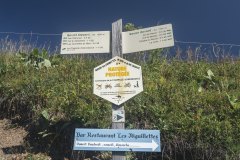 Du parking, suivre la direction du Col du Serpentin (18 août 2019)