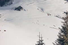 Bellieuvre en contrebas (5 janvier 2019)