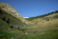 Prairie avant le Col de l'Aup Couti (26 aout 2018)