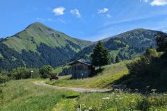 Sortie de la forêt prendre en face à droite du chalet (9 juillet 2024)