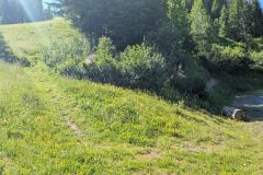 Sentier à droite du chalet (9 juillet 2024)